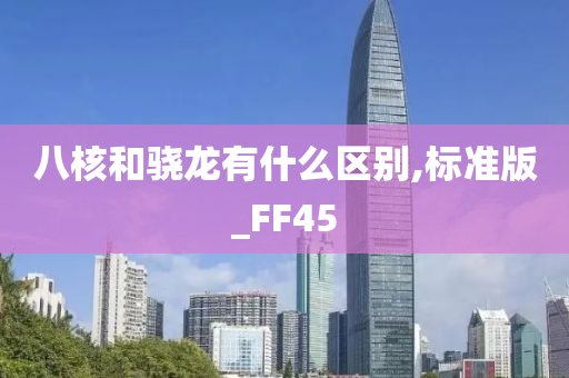 八核和骁龙有什么区别,标准版_FF45