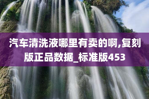 汽车清洗液哪里有卖的啊,复刻版正品数据_标准版453