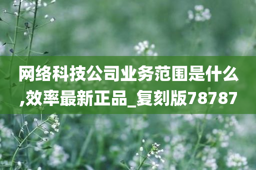 网络科技公司业务范围是什么,效率最新正品_复刻版78787