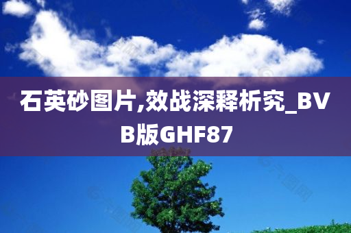 石英砂图片,效战深释析究_BVB版GHF87