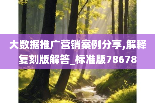 大数据推广营销案例分享,解释复刻版解答_标准版78678