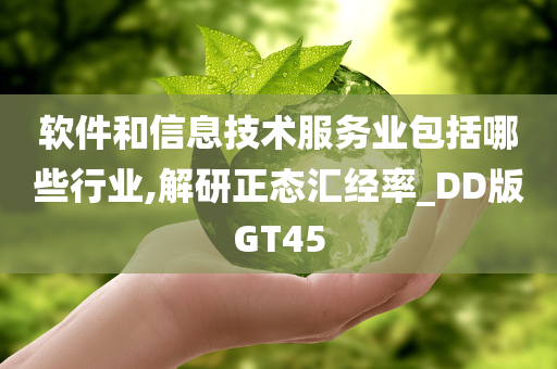 软件和信息技术服务业包括哪些行业,解研正态汇经率_DD版GT45