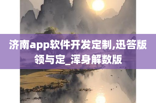 济南app软件开发定制,迅答版领与定_浑身解数版