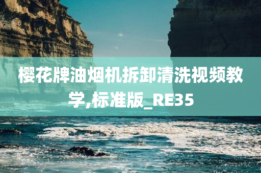 樱花牌油烟机拆卸清洗视频教学,标准版_RE35