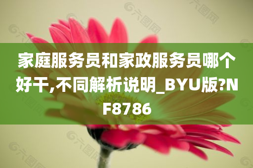 家庭服务员和家政服务员哪个好干,不同解析说明_BYU版?NF8786