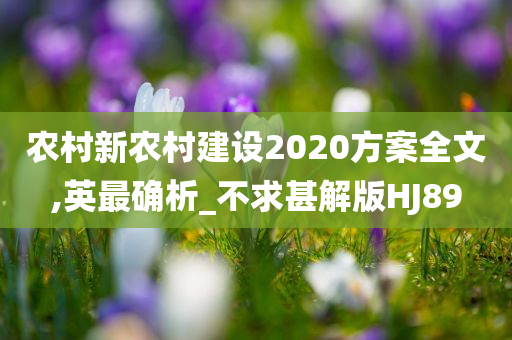 农村新农村建设2020方案全文,英最确析_不求甚解版HJ89