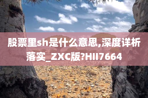 股票里sh是什么意思,深度详析落实_ZXC版?HII7664