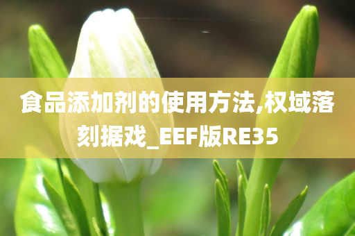 食品添加剂的使用方法,权域落刻据戏_EEF版RE35