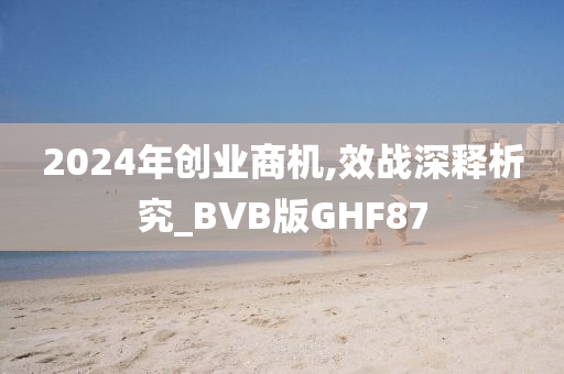 2024年创业商机,效战深释析究_BVB版GHF87