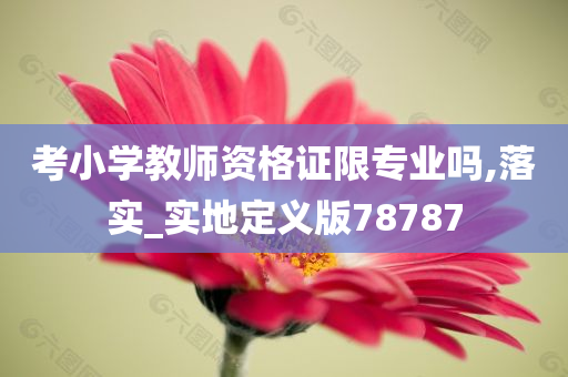 考小学教师资格证限专业吗,落实_实地定义版78787