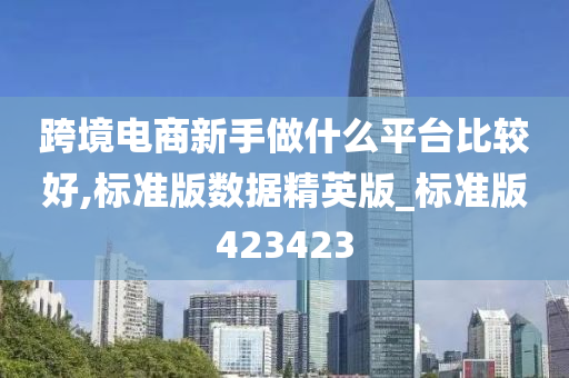 跨境电商新手做什么平台比较好,标准版数据精英版_标准版423423