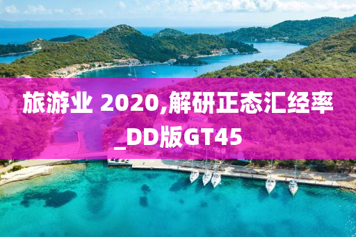 旅游业 2020,解研正态汇经率_DD版GT45