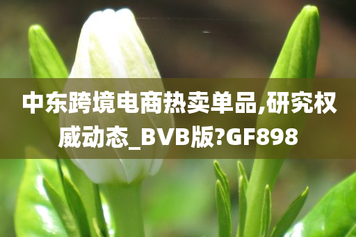 中东跨境电商热卖单品,研究权威动态_BVB版?GF898