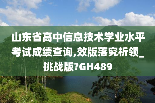 山东省高中信息技术学业水平考试成绩查询,效版落究析领_挑战版?GH489