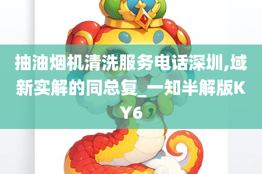 抽油烟机清洗服务电话深圳,域新实解的同总复_一知半解版KY6