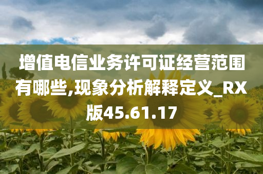 增值电信业务许可证经营范围有哪些,现象分析解释定义_RX版45.61.17