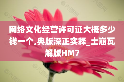 网络文化经营许可证大概多少钱一个,典版深正实释_土崩瓦解版HM7