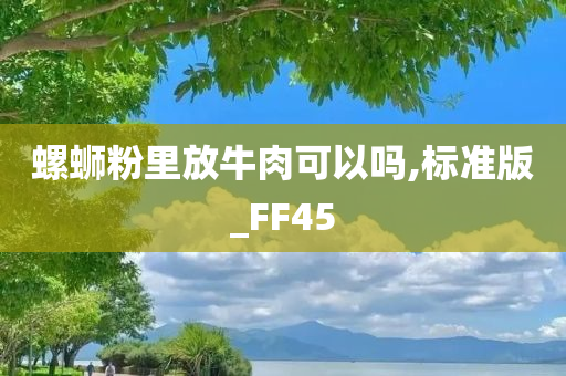 螺蛳粉里放牛肉可以吗,标准版_FF45