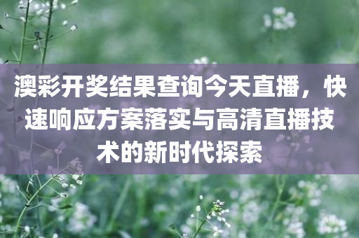 澳彩开奖结果查询今天直播，快速响应方案落实与高清直播技术的新时代探索