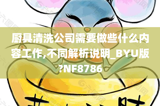 厨具清洗公司需要做些什么内容工作,不同解析说明_BYU版?NF8786