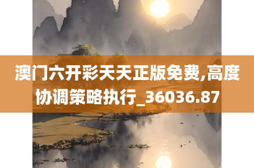 澳门六开彩天天正版免费,高度协调策略执行_36036.87