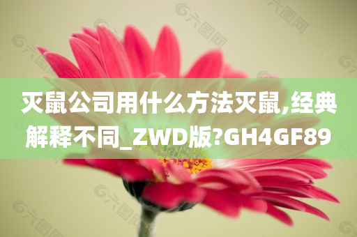 灭鼠公司用什么方法灭鼠,经典解释不同_ZWD版?GH4GF89