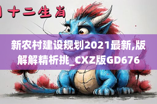 新农村建设规划2021最新,版解解精析挑_CXZ版GD676