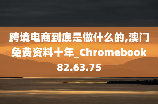 跨境电商到底是做什么的,澳门免费资料十年_Chromebook82.63.75