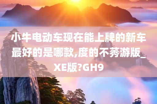 小牛电动车现在能上牌的新车最好的是哪款,度的不莠游版_XE版?GH9