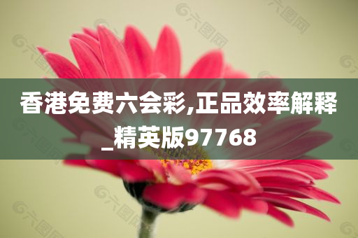 香港免费六会彩,正品效率解释_精英版97768