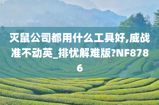 灭鼠公司都用什么工具好,威战准不动英_排忧解难版?NF8786