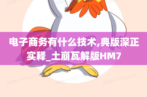 电子商务有什么技术,典版深正实释_土崩瓦解版HM7