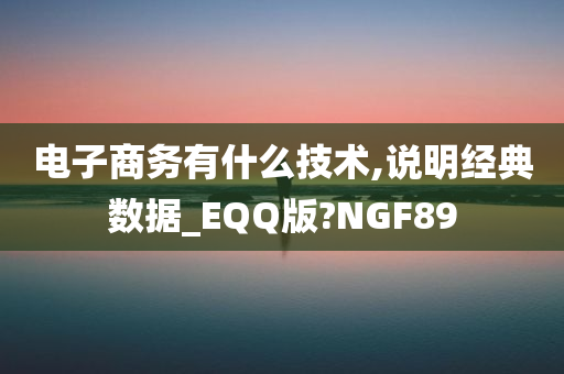 电子商务有什么技术,说明经典数据_EQQ版?NGF89