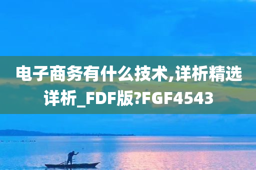 电子商务有什么技术,详析精选详析_FDF版?FGF4543