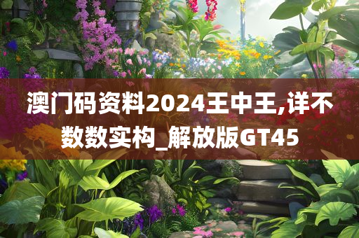 澳门码资料2024王中王,详不数数实构_解放版GT45