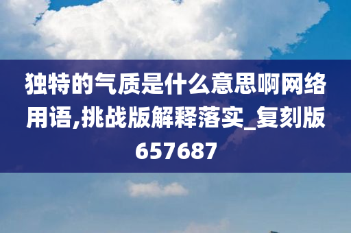 独特的气质是什么意思啊网络用语,挑战版解释落实_复刻版657687