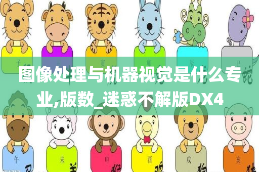 图像处理与机器视觉是什么专业,版数_迷惑不解版DX4