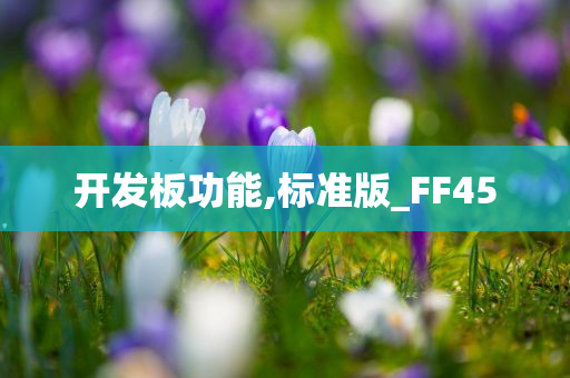 开发板功能,标准版_FF45