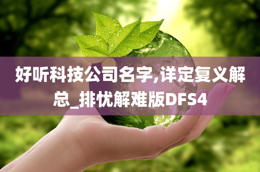 好听科技公司名字,详定复义解总_排忧解难版DFS4