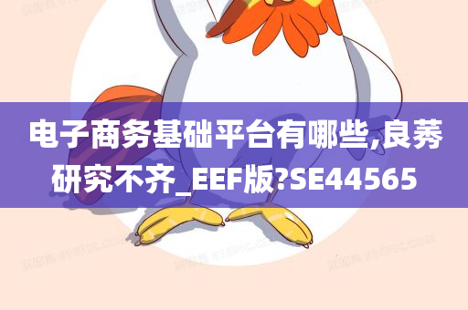 电子商务基础平台有哪些,良莠研究不齐_EEF版?SE44565