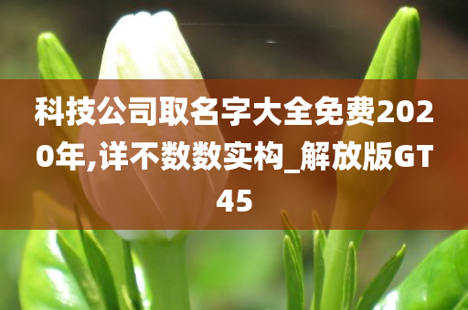 科技公司取名字大全免费2020年,详不数数实构_解放版GT45