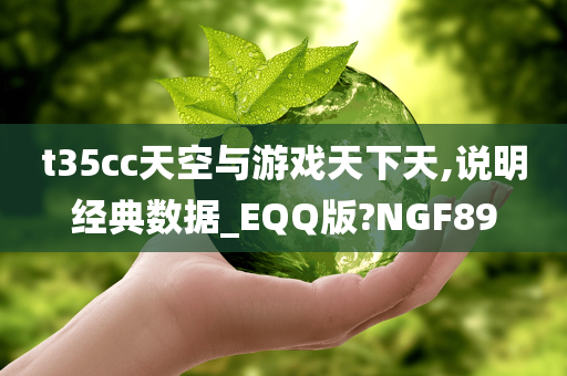 t35cc天空与游戏天下天,说明经典数据_EQQ版?NGF89