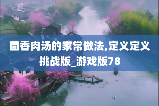 茴香肉汤的家常做法,定义定义挑战版_游戏版78