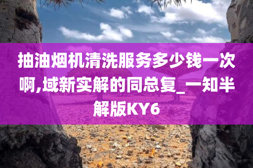 抽油烟机清洗服务多少钱一次啊,域新实解的同总复_一知半解版KY6