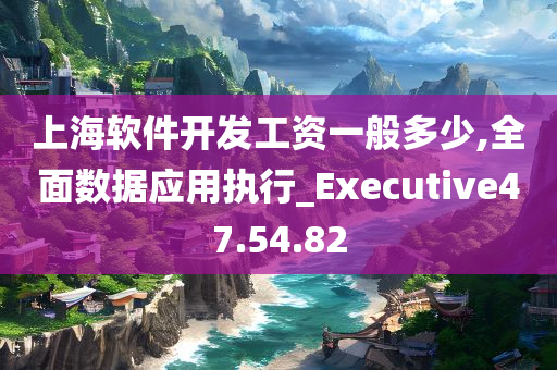 上海软件开发工资一般多少,全面数据应用执行_Executive47.54.82