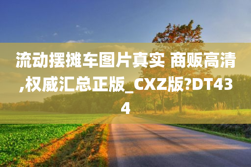 流动摆摊车图片真实 商贩高清,权威汇总正版_CXZ版?DT434