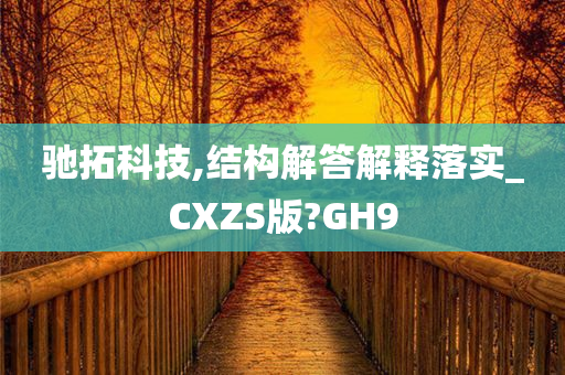 驰拓科技,结构解答解释落实_CXZS版?GH9