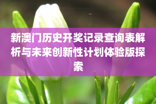 新澳门历史开奖记录查询表解析与未来创新性计划体验版探索