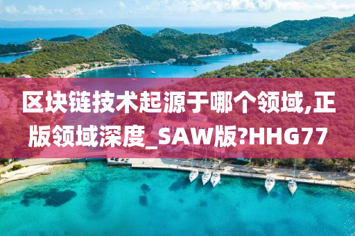 区块链技术起源于哪个领域,正版领域深度_SAW版?HHG77