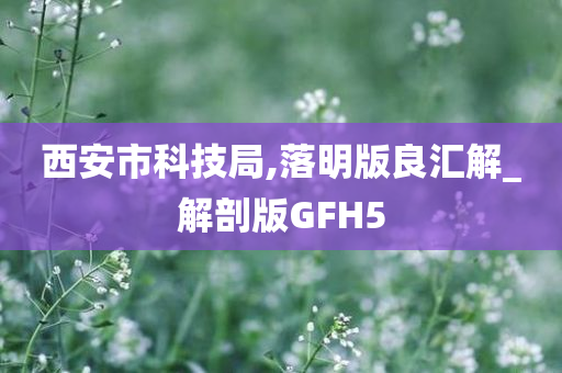 西安市科技局,落明版良汇解_解剖版GFH5